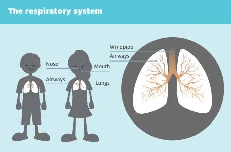 Managing your child's asthma HE2549